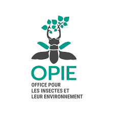 OPIE
Association écologistes euziere naturaliste animation formations editions expertises sorties nature activités séjours camps accompagnement sensibilisation bénévolat adhésion soutien mécénat nature
